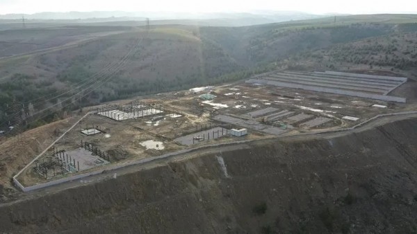 CHP'nin hayvanseverlik algısı çöktü: Sokak hayvanları için tek bir barınak bile inşa etmediler!